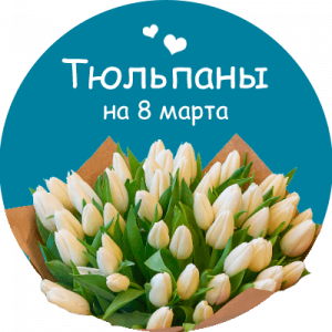 Купить тюльпаны в Петровске-Забайкальском